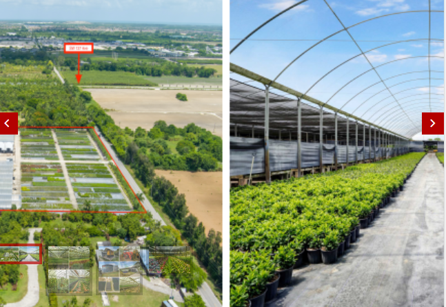 Commercial Property for Sale in Homestead Florida 33031